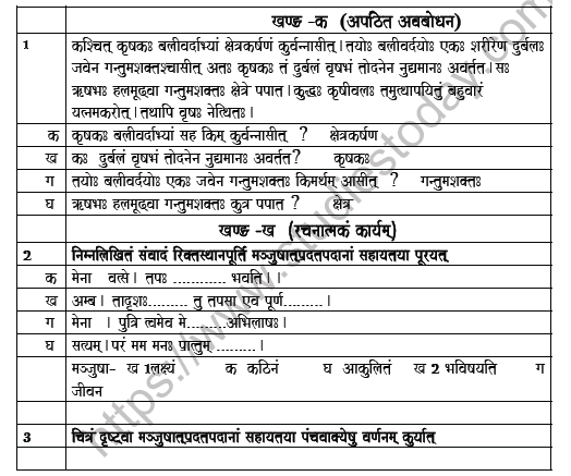 CBSE Class 6 Sanskrit Worksheet Set C